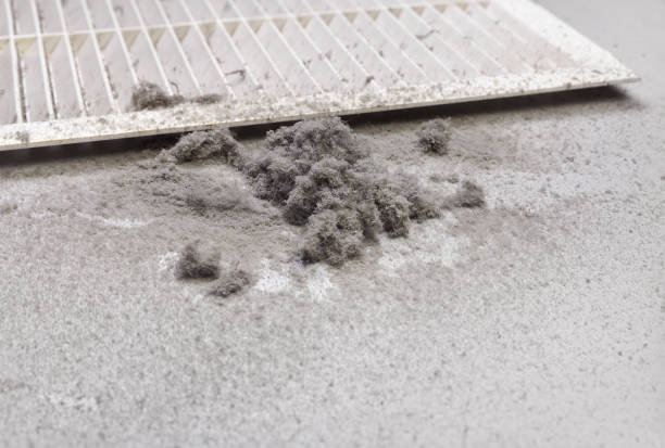 Best Dryer Vent Cleaning in Redgranite, WI