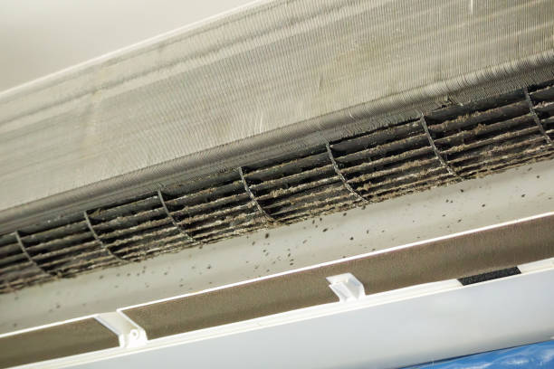 Best Emergency Air Duct Cleaning Services in Redgranite, WI